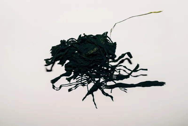 Salt, Kelp, and the Coast: Why American Seaweed Is the Pantry Ingredient You Didn't Know You Were Missing