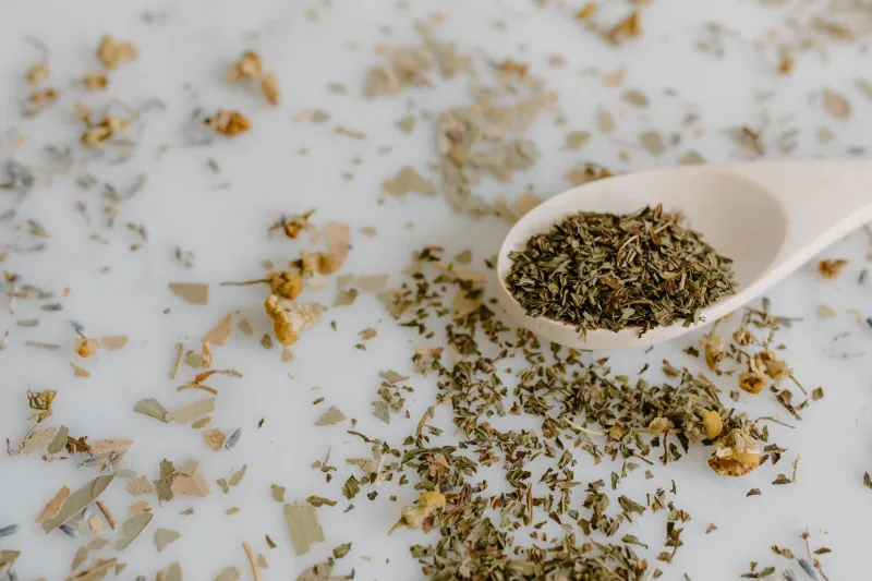 Grown Here, Steeped Here: The American Tea Makers Proving This Country Can Grow Something Worth Drinking