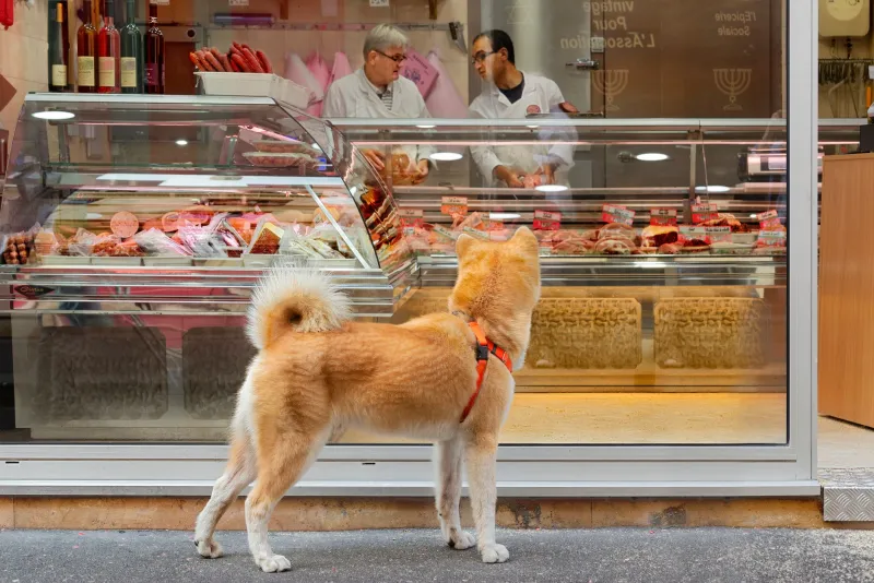 Know Your Butcher: Why the Best Meat in America Isn't at the Supermarket